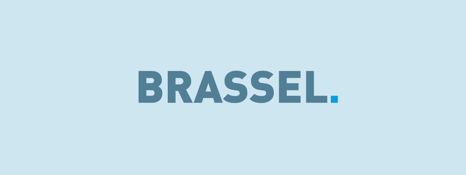 Logo Brassel Umsetzungsberatung München